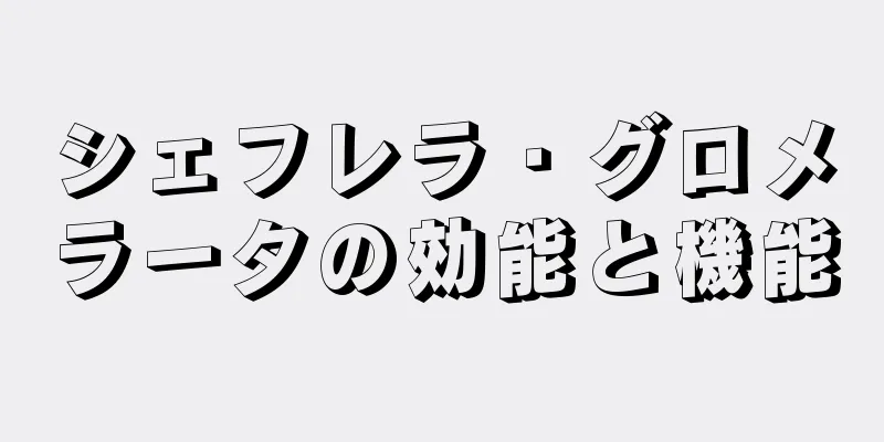 シェフレラ・グロメラータの効能と機能
