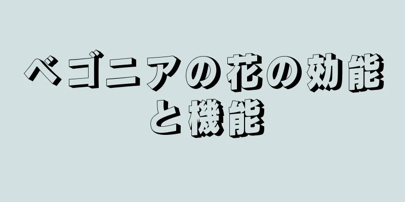 ベゴニアの花の効能と機能
