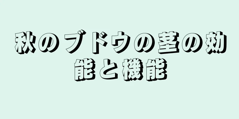 秋のブドウの茎の効能と機能