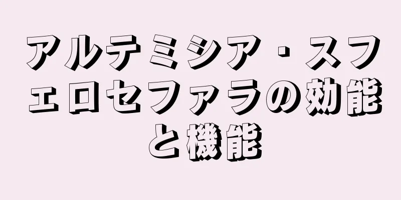アルテミシア・スフェロセファラの効能と機能