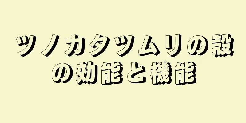 ツノカタツムリの殻の効能と機能