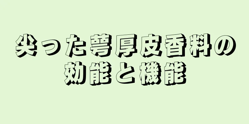 尖った萼厚皮香料の効能と機能