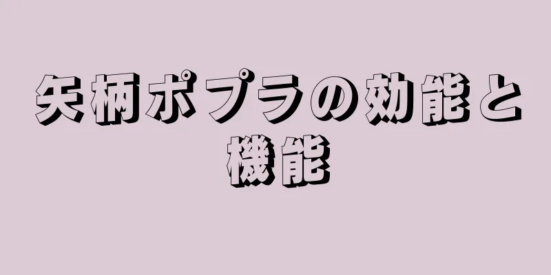 矢柄ポプラの効能と機能