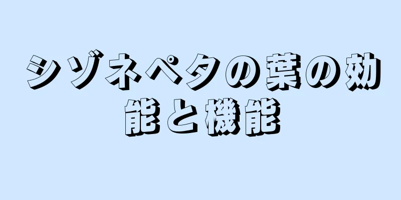 シゾネペタの葉の効能と機能