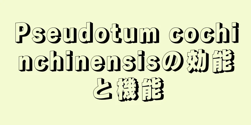 Pseudotum cochinchinensisの効能と機能