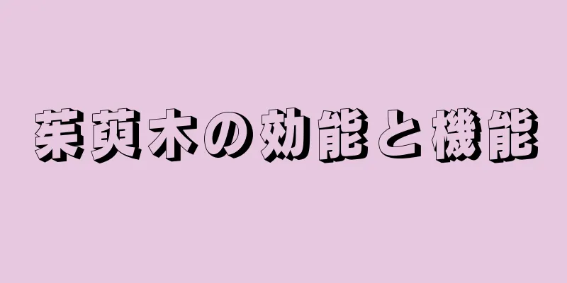 茱萸木の効能と機能