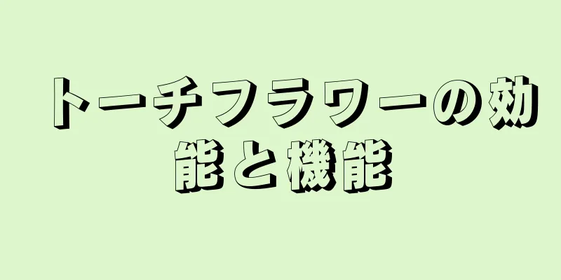 トーチフラワーの効能と機能