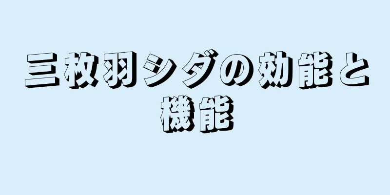 三枚羽シダの効能と機能