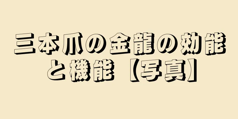三本爪の金龍の効能と機能【写真】