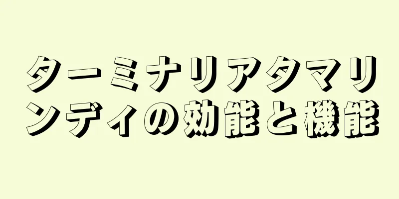 ターミナリアタマリンディの効能と機能