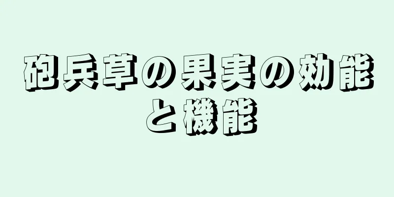 砲兵草の果実の効能と機能