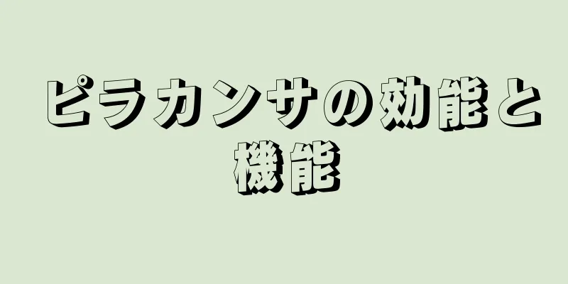 ピラカンサの効能と機能