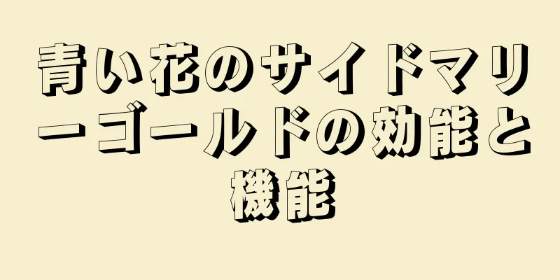 青い花のサイドマリーゴールドの効能と機能