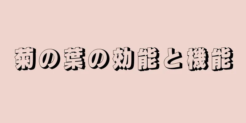 菊の葉の効能と機能
