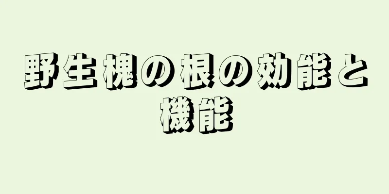 野生槐の根の効能と機能