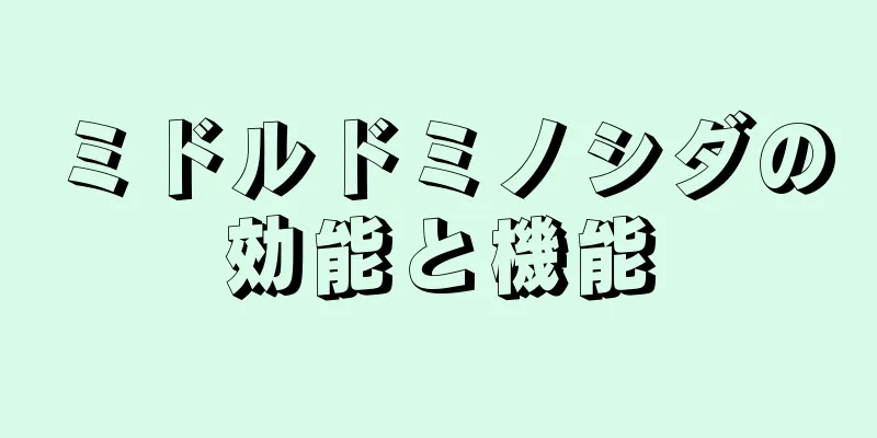 ミドルドミノシダの効能と機能