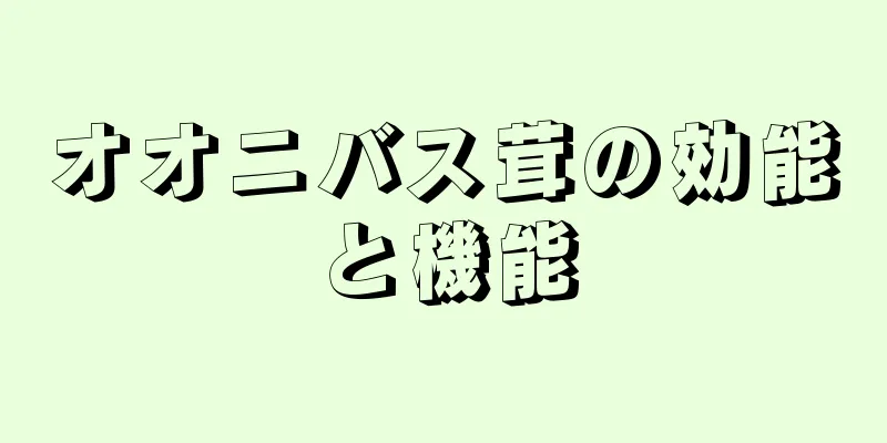オオニバス茸の効能と機能