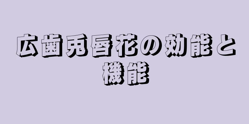 広歯兎唇花の効能と機能