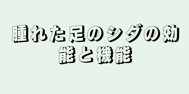 腫れた足のシダの効能と機能