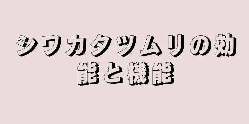 シワカタツムリの効能と機能