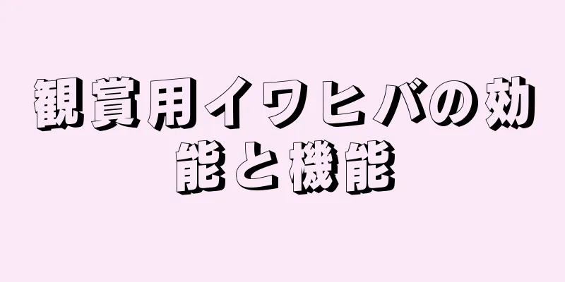 観賞用イワヒバの効能と機能
