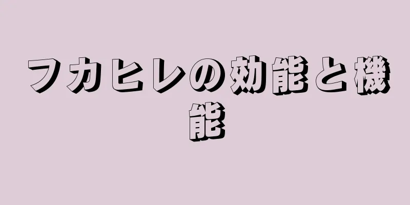 フカヒレの効能と機能