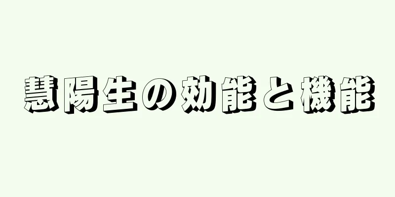 慧陽生の効能と機能