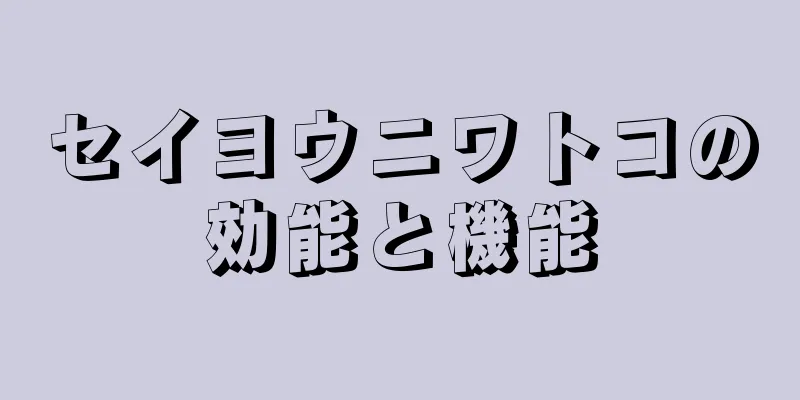 セイヨウニワトコの効能と機能