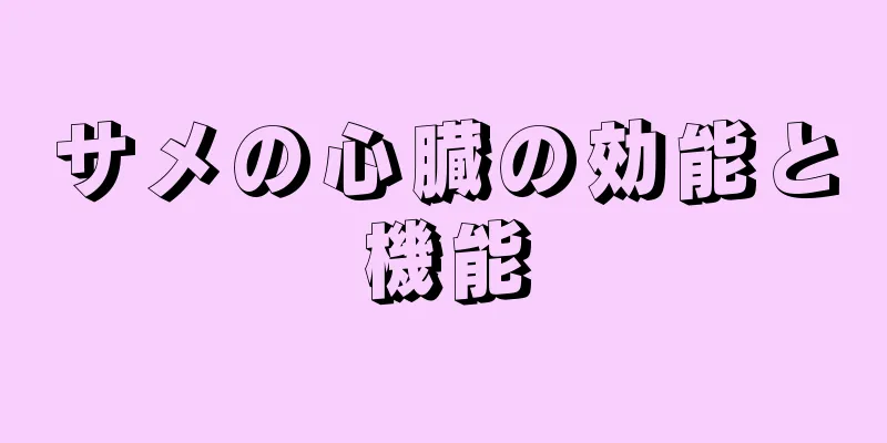 サメの心臓の効能と機能