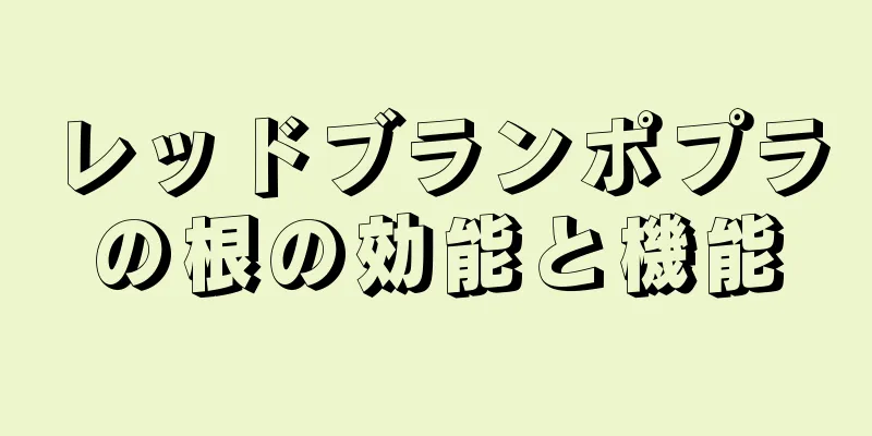 レッドブランポプラの根の効能と機能