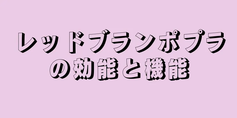 レッドブランポプラの効能と機能