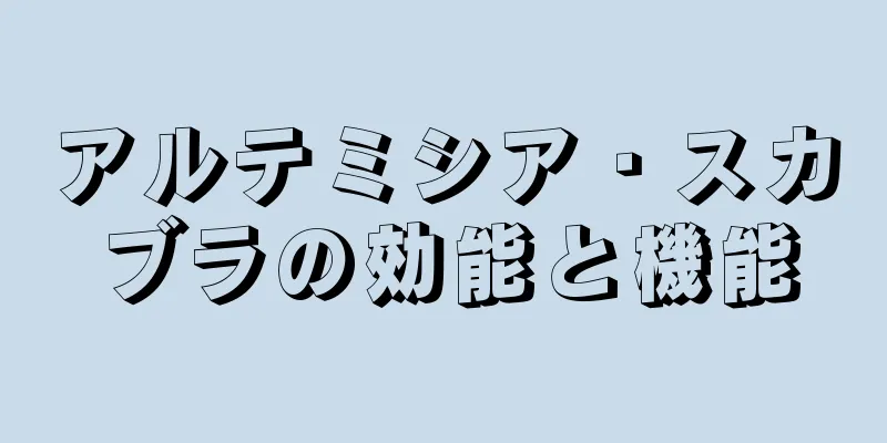 アルテミシア・スカブラの効能と機能