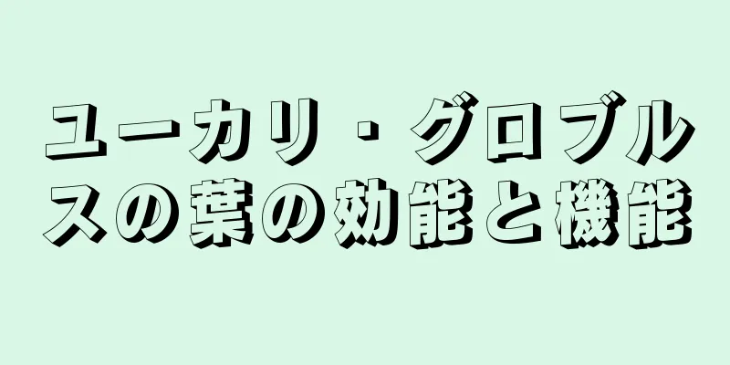 ユーカリ・グロブルスの葉の効能と機能