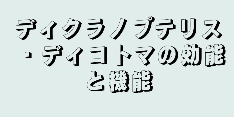 ディクラノプテリス・ディコトマの効能と機能