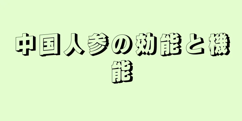 中国人参の効能と機能