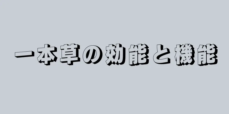一本草の効能と機能