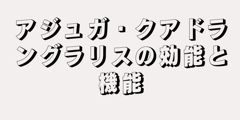 アジュガ・クアドラングラリスの効能と機能