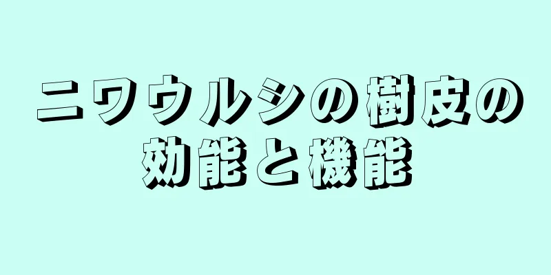 ニワウルシの樹皮の効能と機能