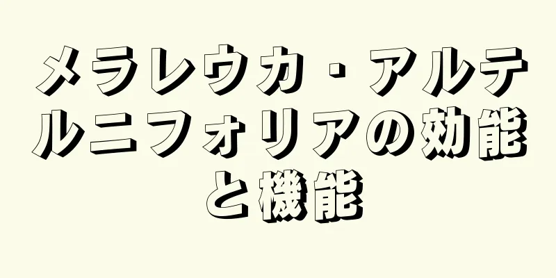メラレウカ・アルテルニフォリアの効能と機能