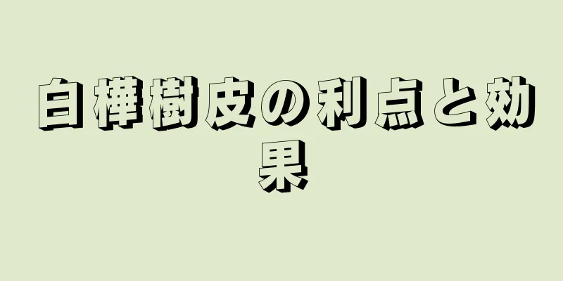 白樺樹皮の利点と効果