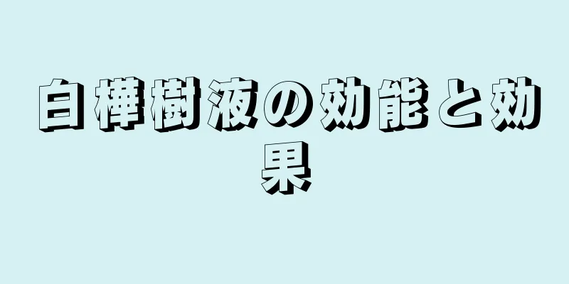 白樺樹液の効能と効果