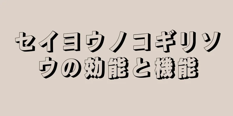 セイヨウノコギリソウの効能と機能