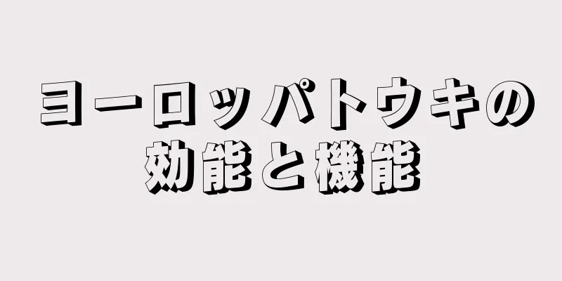 ヨーロッパトウキの効能と機能