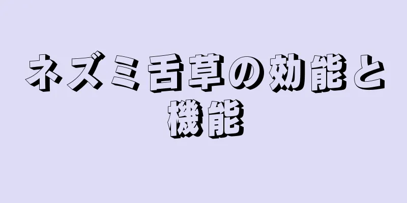 ネズミ舌草の効能と機能
