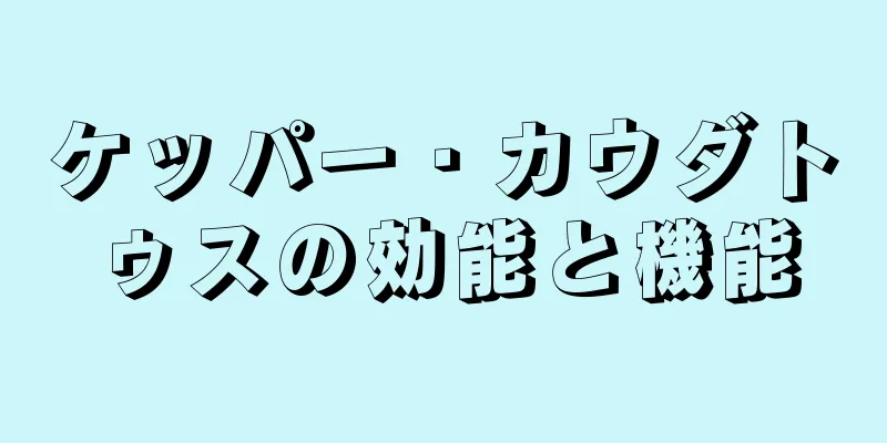 ケッパー・カウダトゥスの効能と機能