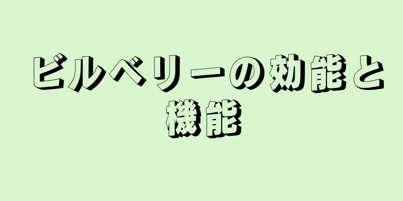 ビルベリーの効能と機能