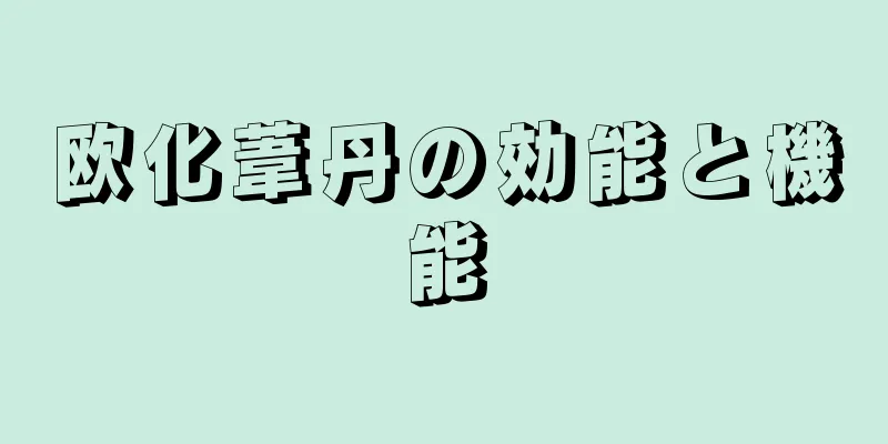 欧化葦丹の効能と機能