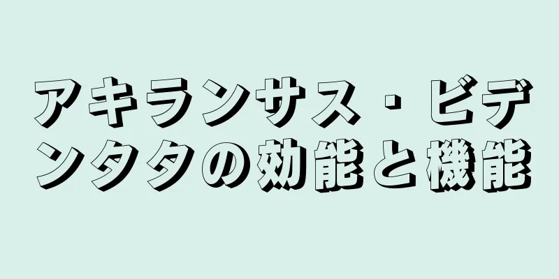 アキランサス・ビデンタタの効能と機能