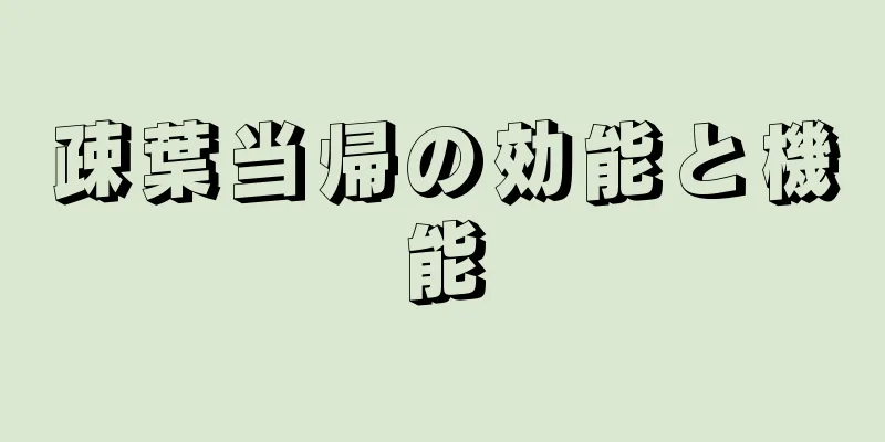 疎葉当帰の効能と機能