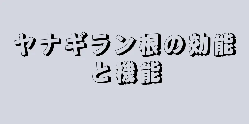 ヤナギラン根の効能と機能
